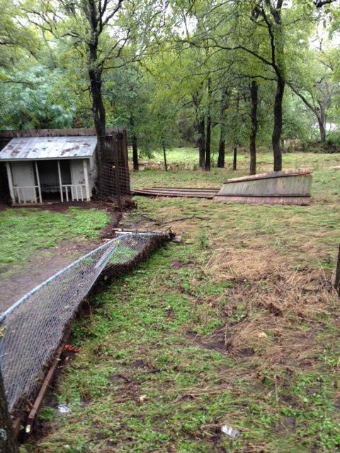 Senior Tristan Huebners fence collapsed completely due to the serious rain. Inches covered the inside and outside of Huebners house.