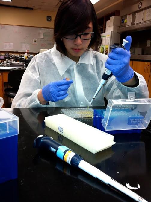 Senior Vanna Hovanky performs MTT assay to measure whether yeast cells are alive or dead after a particular type of treatment. Hovanky has developed a potential treatment strategy for colon cancer using particular elements of bacterial gene therapy. Yeast cells were used due to the similarities to human cells and their practical and cost-effective nature.