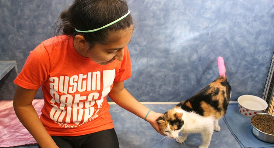 Junior Luisa Quinchia is helping care for homeless pets