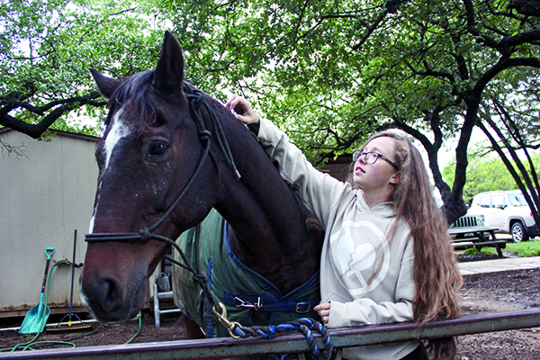 A FRIENDLY NEIGH-BOR: Practicing her technique, senior Megan Smith tends to her horse Arizona. Arizona has all of his organs on his left side of his body which, according to Smith, for the most part doesn’t affect how he is able to work.