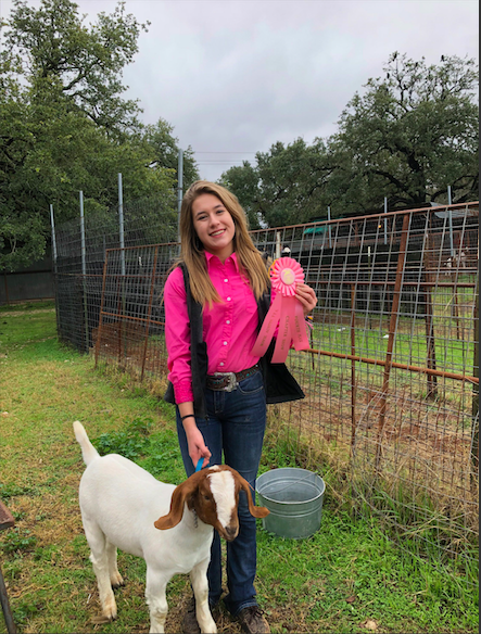 Recently at the FFA Winterfest, FFA secretary Hannah Shepard, won 4th place for the goat showmanship at the 2018 Bowie Austin FFA Winterfest.
