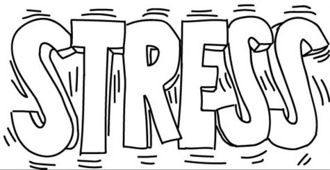 Stress of school overwhelms all