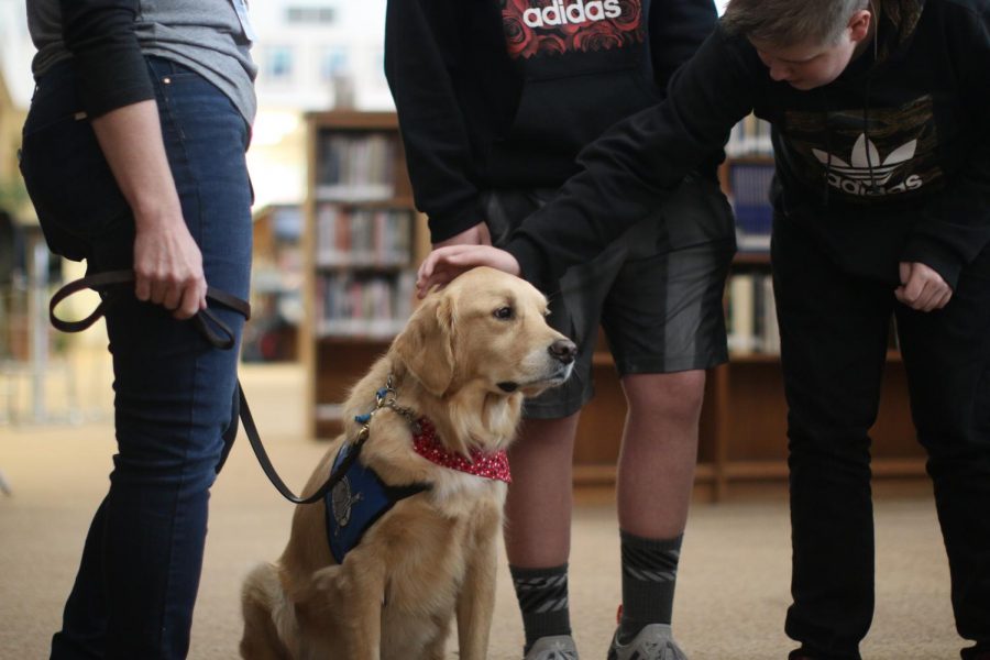 A DOGS PURPOSE: Freshman Braden Kennedy pets Abner in the library during FIT on Friday. Abner provides emotional support for students while they study.