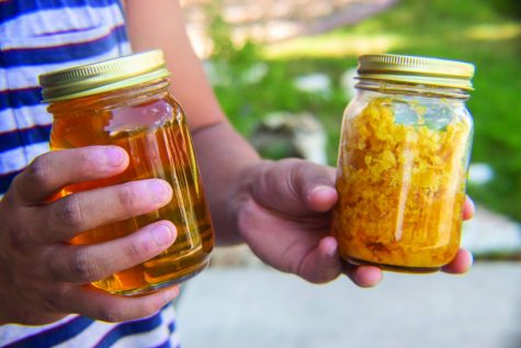 Beekeeper keeps community bee-utiful