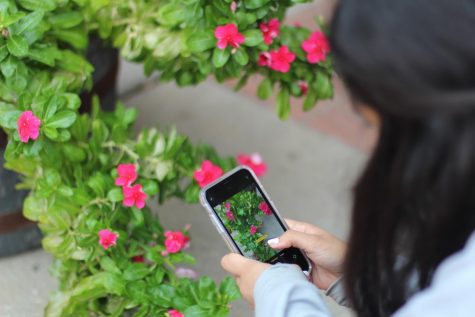 New iPhones leave students wanting more