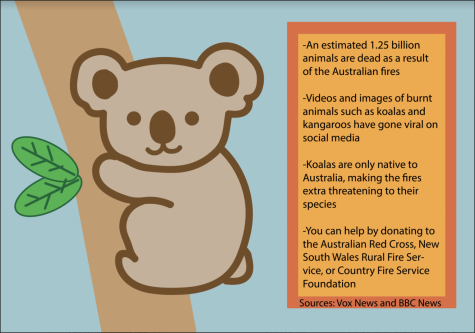 The problem associated with the Australian fires