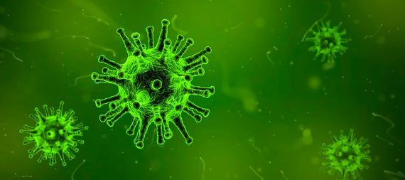 On Wednesday, February 26th, Austin ISD shared a media report to families about the Coronavirus (COVID-19). While no cases have been suspected among the Austin community, AISD, as well as the Centers for Disease Control and Prevention (CDC), want to ensure the safety of students.