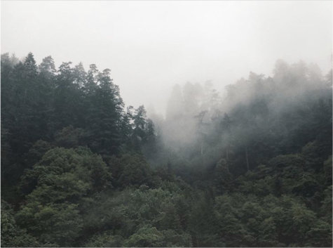 I took this photo while on a cruise in Alaska. I took an excursion on a small ferry in Juneau where I got to see glaciers and Alaska marine life up close. The land surrounding the river was very mountainous and foggy, and I even got to see a mother bear with two of her cubs.