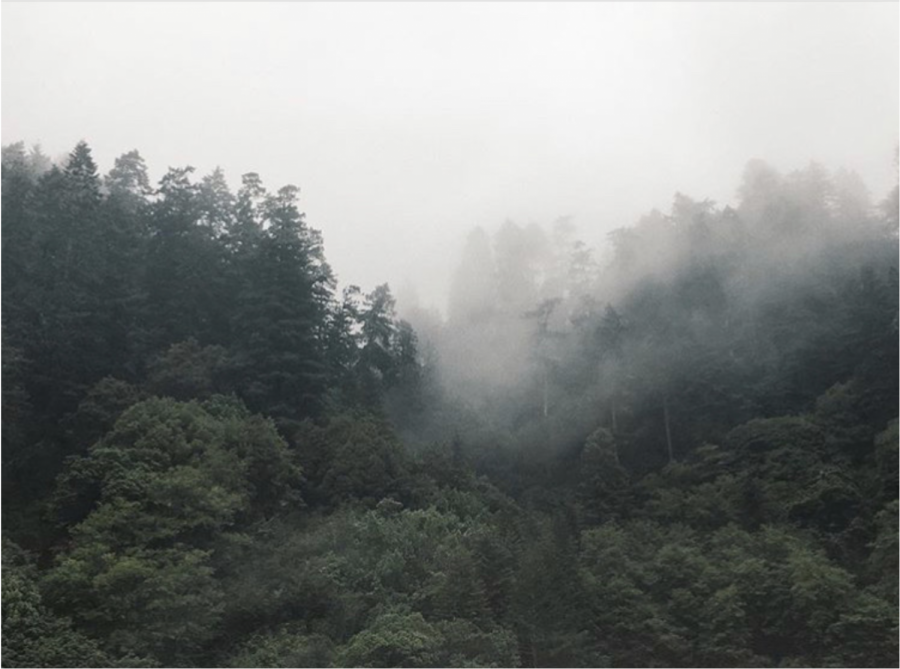 I took this photo while on a cruise in Alaska. I took an excursion on a small ferry in Juneau where I got to see glaciers and Alaska marine life up close. The land surrounding the river was very mountainous and foggy, and I even got to see a mother bear with two of her cubs. 