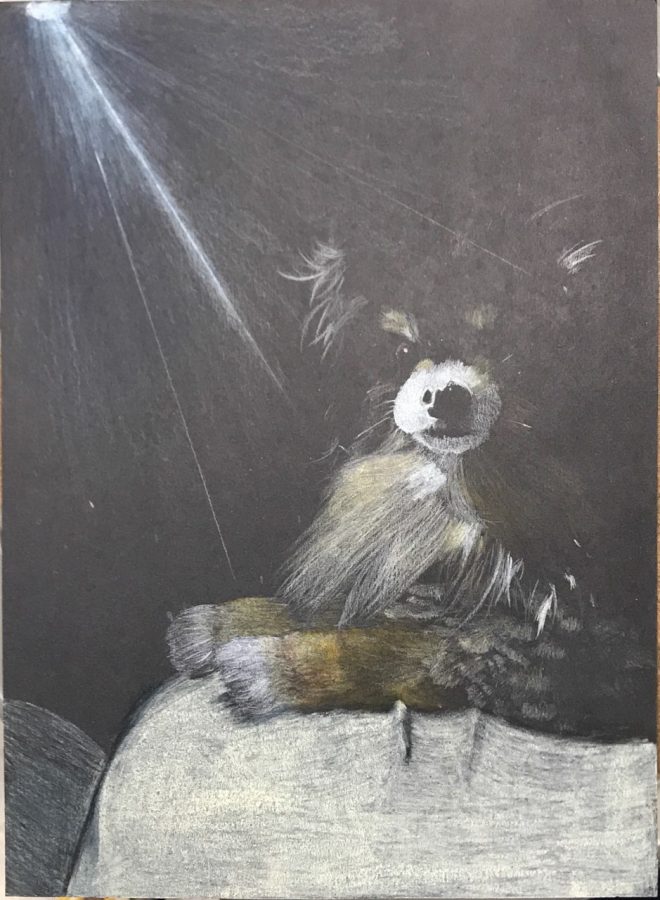 Sophomore Juluissa Elias illustrates her dog in dramatic lighting. Elias explained that the hardest aspect of the creation process was making the dog in the painting resemble her own dog. 