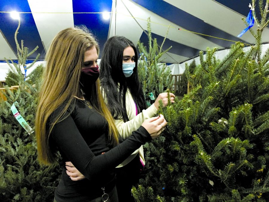 PICKING THE PERFECT CHRISTMAS TREE: Seniors Iliana Rivera and Sidney Tishgart look at Christmas trees from Papa Noel’s Christmas tree farm, and try to pick out the perfect one to take home. Papa Noel’s Christmas tree farm has several different Austin area locations, each with a variety of different trees to choose from. 