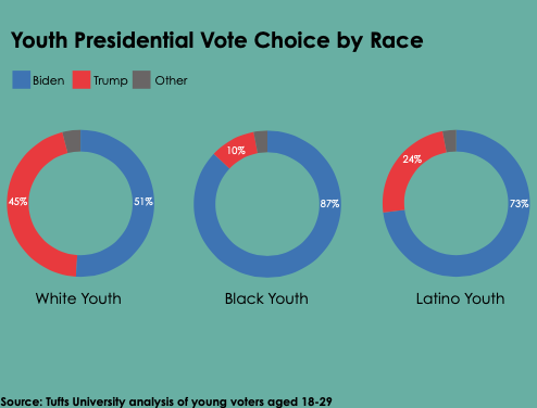 Social issues and the pandemic motivate young voters