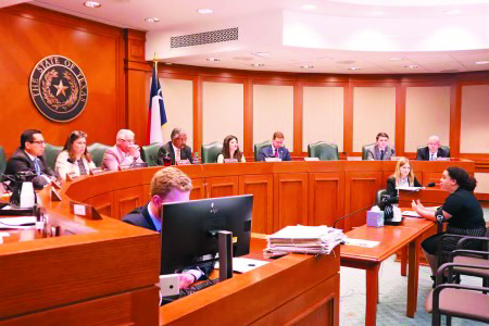 NEW VOICES: Activist Bethany Bissel (right) testified before the Public Education Committee in 2019. The committee is made up of 13 members of the Texas House of Representatives. 