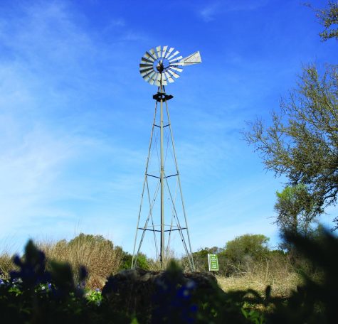 TURNING IN THE WIND: The iconic windmill at the Wildflower Center stands tall. The Center features over 900 native plant species. 