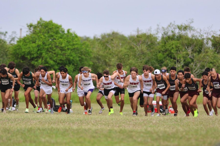 AT+THE+STARTING+LINE%3A+The+boys+varsity+cross+country+team+begins+their+race+at+the+Region+4+Championships.