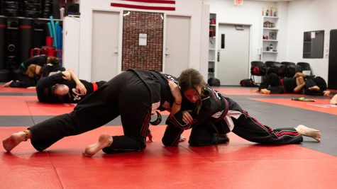 Discipline AND DEFENSE: Junior Eowyn Madden practices sparring with her sensei. Madden is preparing for her senior black belt tests in April.
