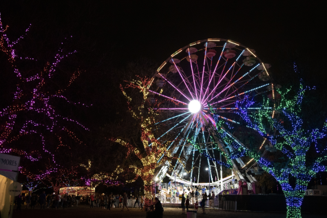GLEAMING BRIGHTLY: Hundreds of people wait in line to ride the famous 90-foot Ferris wheel that arrives in Austin every Christmas, to accompany the Trail of Lights. The trail also has two stages with performers, food trucks, and multiple displays of lights for viewers to enjoy. 