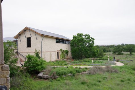 The landscape of the Lady Bird Johnson Wildflower Center is a lengthy stretch of nature and sky with twisting trails that lead through charming structures, and endless varieties of plants.