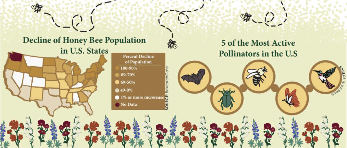 Dear World, Save the Bees