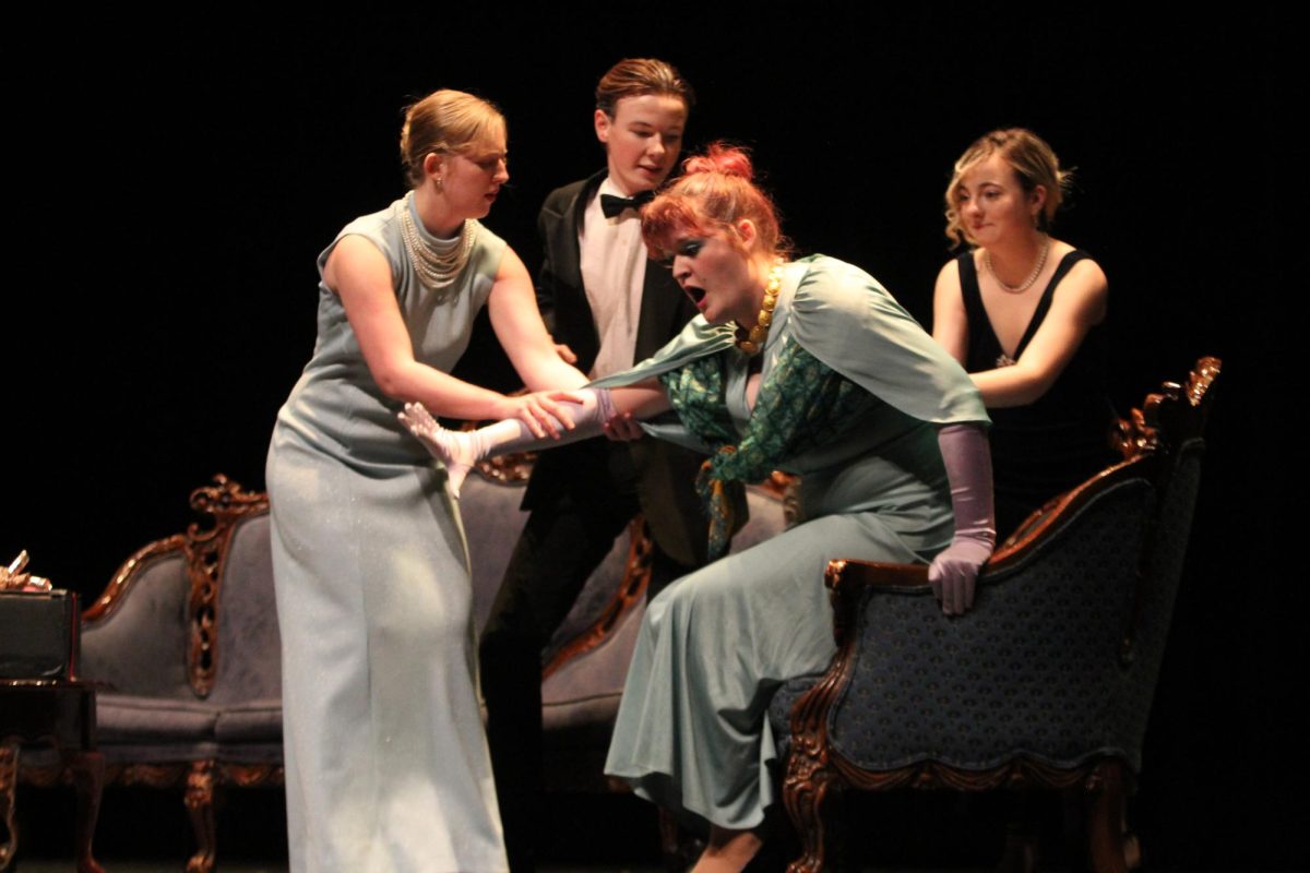 Senior shows dazzle audience